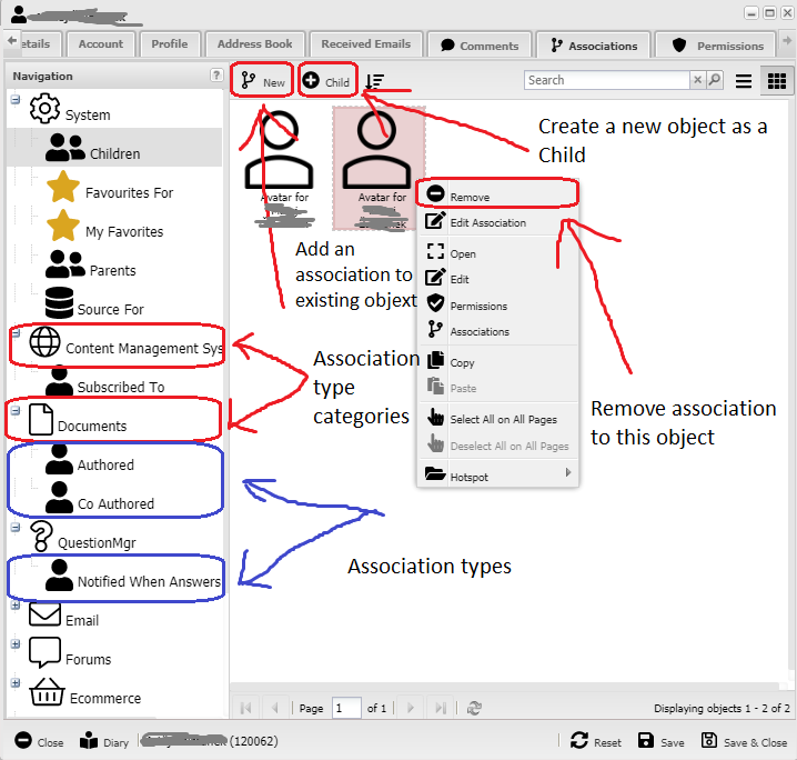 Association manager interface