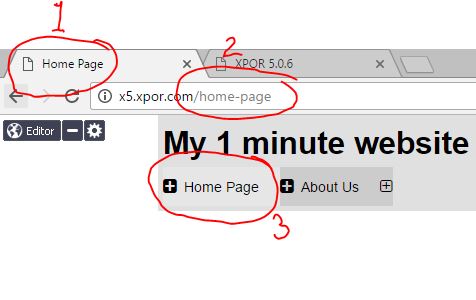 Web Page Object Name default use